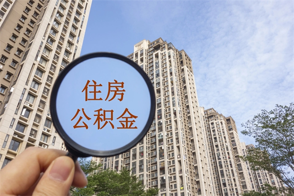 查询我的住房公积金-五指山公积金代办平台